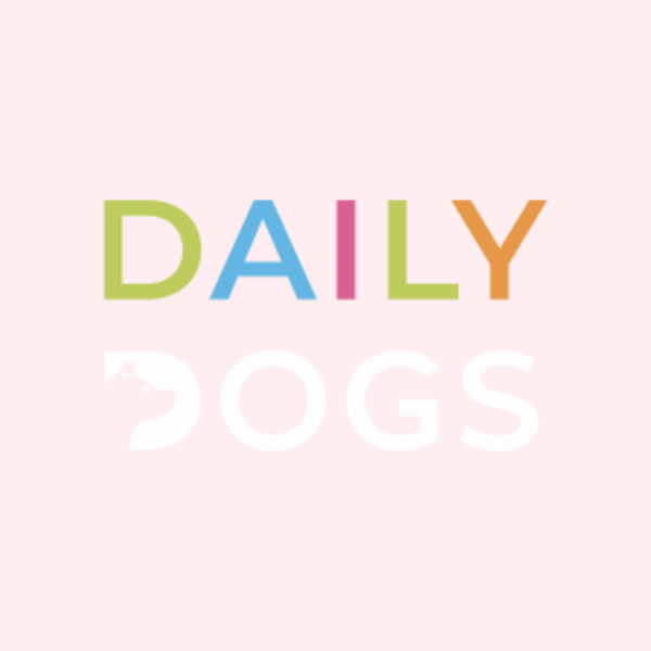 DAILY DOGS 